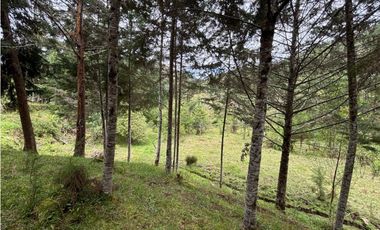 Venta lote en Las Palmas con quebrada y 35.000 m²