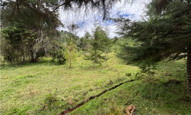 Venta lote en Las Palmas con quebrada y 35.000 m²