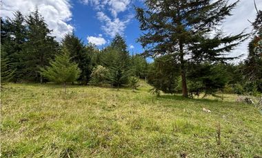 Venta lote en Las Palmas con quebrada y 35.000 m²