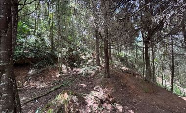 Venta lote en Las Palmas con quebrada y 35.000 m²