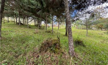Venta lote en Las Palmas con quebrada y 35.000 m²