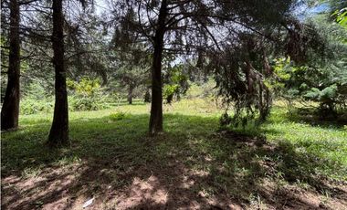 Venta lote en Las Palmas con quebrada y 35.000 m²