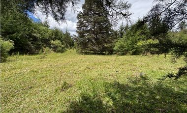 Venta lote en Las Palmas con quebrada y 35.000 m²