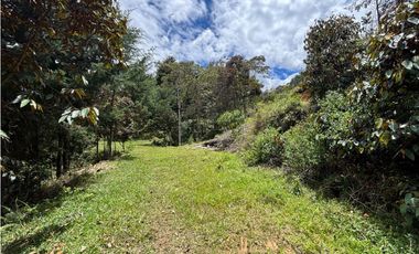 Venta lote en Las Palmas con quebrada y 35.000 m²