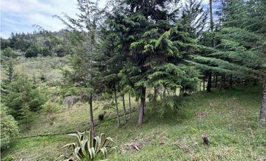 Venta lote en Las Palmas con quebrada y 35.000 m²