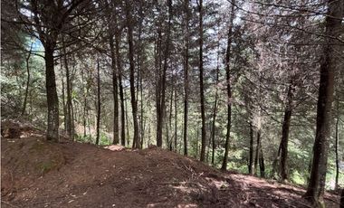 Venta lote en Las Palmas con quebrada y 35.000 m²