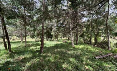 Venta lote en Las Palmas con quebrada y 35.000 m²