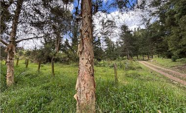 Venta lote en Las Palmas con quebrada y 35.000 m²