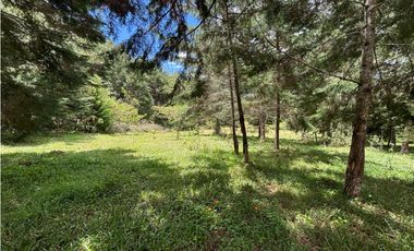 Venta lote en Las Palmas con quebrada y 35.000 m²