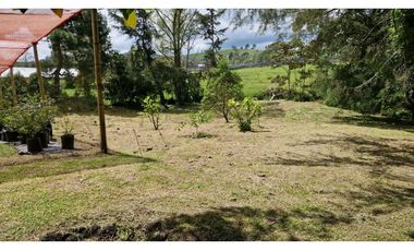 Finca El Carmen de Viboral