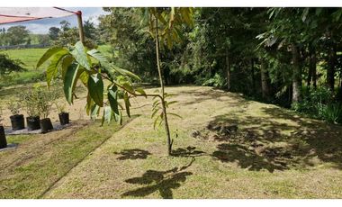 Finca El Carmen de Viboral