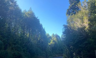 VENTA PARCELA 5000MTS Puerto Montt