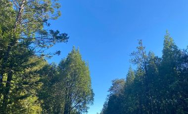 VENTA PARCELA 5000MTS Puerto Montt