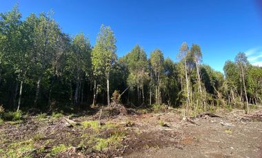 VENTA PARCELA 5000MTS Puerto Montt