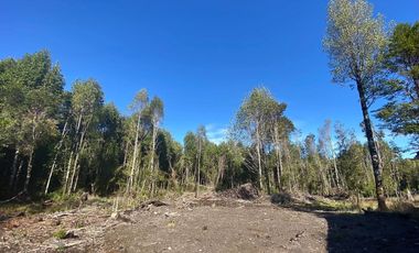 VENTA PARCELA 5000MTS Puerto Montt