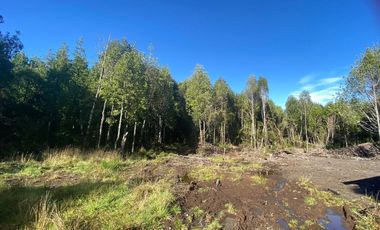 VENTA PARCELA 5000MTS Puerto Montt