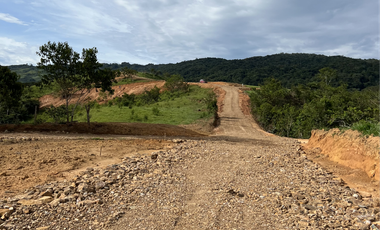 Lotes en venta en san rafael vereda la luz