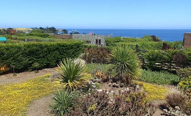 Exclusiva Casa en Punta de Lobos