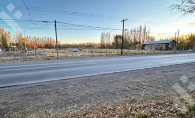Alquiler Terreno 3 HA - Calle Río Colorado - Plottier - Neuquén