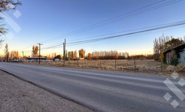Alquiler Terreno 3 HA - Calle Río Colorado - Plottier - Neuquén