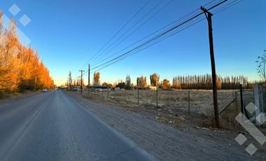 Alquiler Terreno 3 HA - Calle Río Colorado - Plottier - Neuquén