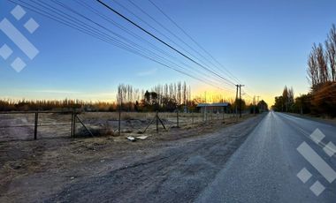 Alquiler Terreno 3 HA - Calle Río Colorado - Plottier - Neuquén