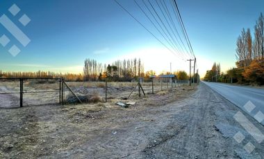 Alquiler Terreno 3 HA - Calle Río Colorado - Plottier - Neuquén