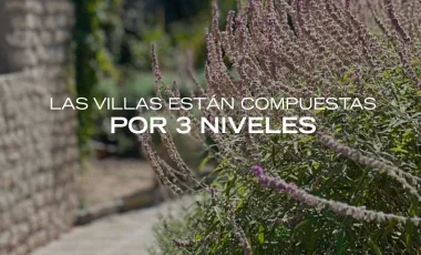 Quinta en venta en San Miguel de Allende Centro, San Miguel de Allende, Guanajuato