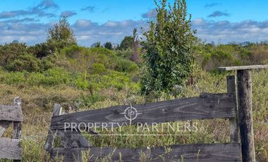 Parcela con Vista a Volcanes en Venta,  condominio «Bosque Vida», Puerto Varas