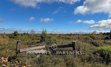 Parcela con Vista a Volcanes en Venta,  condominio «Bosque Vida», Puerto Varas