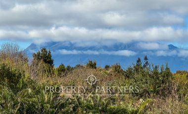 Parcela con Vista a Volcanes en Venta,  condominio «Bosque Vida», Puerto Varas
