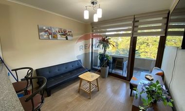 Departamento Costanera Villarrica