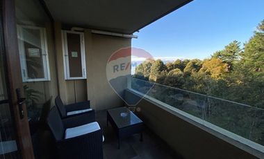 Departamento Costanera Villarrica