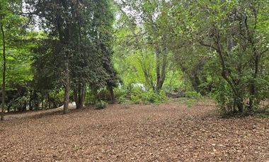 Acogedora cabaña y amplia parcela en Vilches