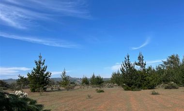 Parcela en Venta en Ciruelos