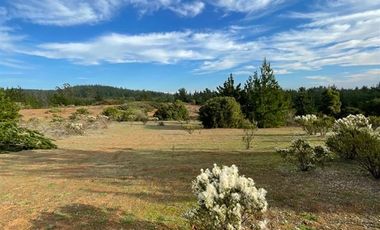 Parcela en Venta en Ciruelos