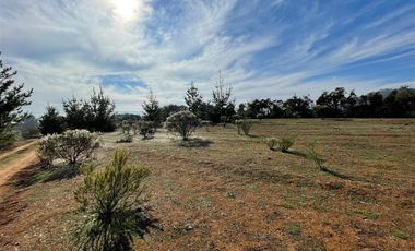 Parcela en Venta en Ciruelos