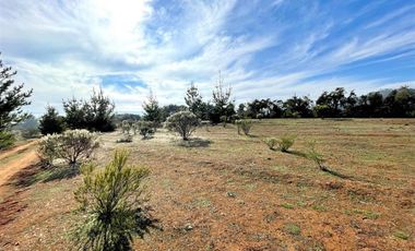 Parcela en Venta en Ciruelos