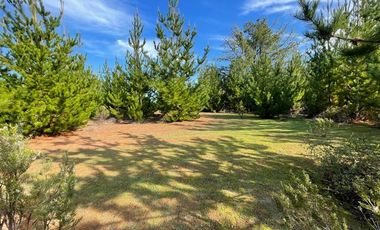 Parcela en Venta en Ciruelos