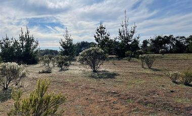 Parcela en Venta en Ciruelos