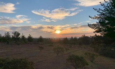 Parcela en Venta en Ciruelos