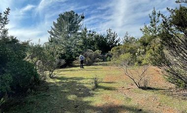 Parcela en Venta en Ciruelos