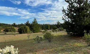 Parcela en Venta en Ciruelos