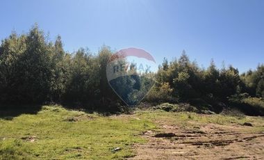 Venta de Terreno 7 h. Coronel
