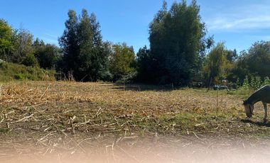 Venta casa con gran terreno , oportunidad única!!