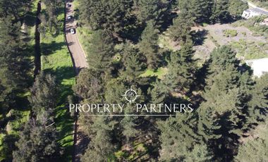 Terreno en Los Pinos