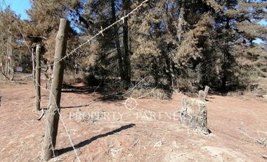 Terreno en Los Pinos