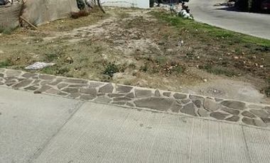 TERRENO EN COTO CASTAÑO, VALLE IMPERIAL #65