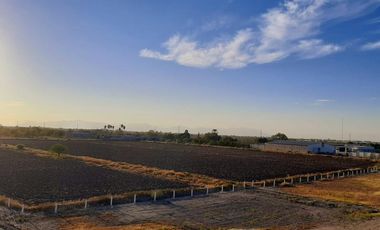 Terreno en Venta en Paso del Aguila, Torreón, Coahuila de Zaragoza