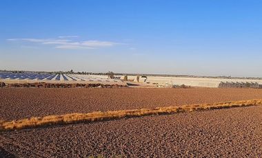 Terreno en Venta en Paso del Aguila, Torreón, Coahuila de Zaragoza